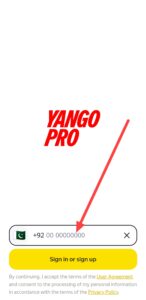 Earnings by yango pro