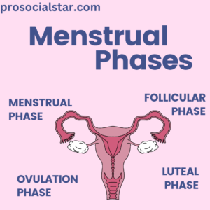 Menstrual Phase