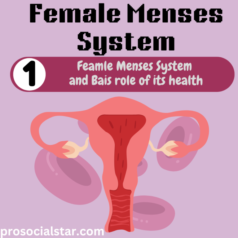 Understanding the Phases of the Menstrual Cycle 2. The Female Menses System